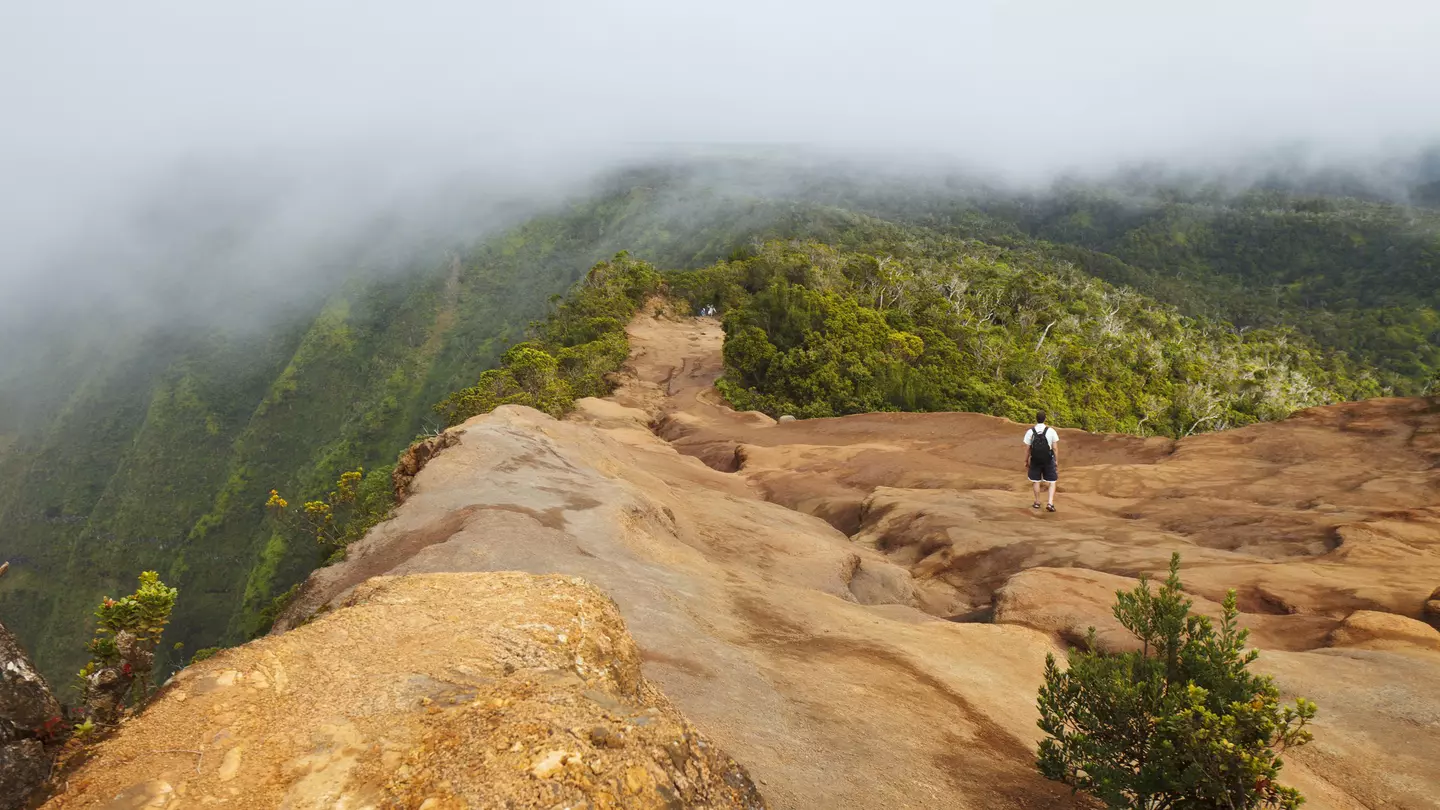 A male hiker on the Pihea Trail in Koke'e State Park on the island of Kauai, with clouds gathering above the Kalalau Valley, making the hiking trail mysterious and heavenly