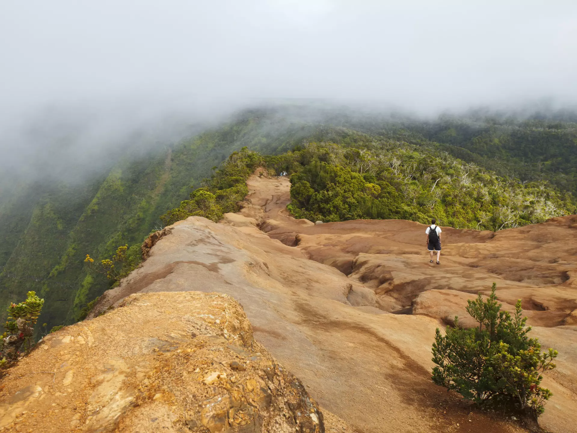 A male hiker on the Pihea Trail in Koke'e State Park on the island of Kauai, with clouds gathering above the Kalalau Valley, making the hiking trail mysterious and heavenly