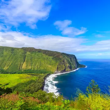 Big Island coastline, as seen from the Waipi'o Valley Lookout.