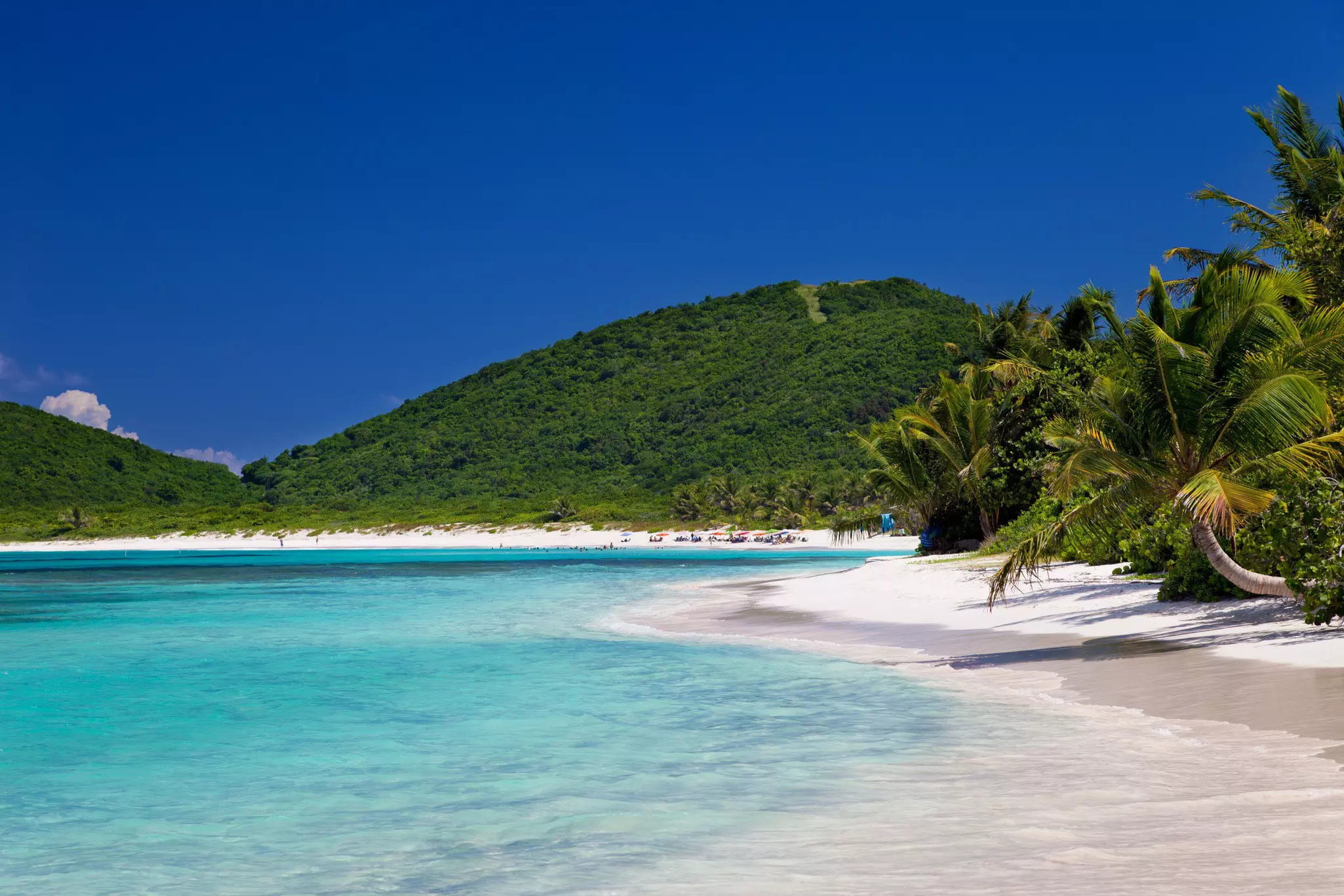 Palm trees near the water at Flamenco Beach on Culebra island, Puerto Rico