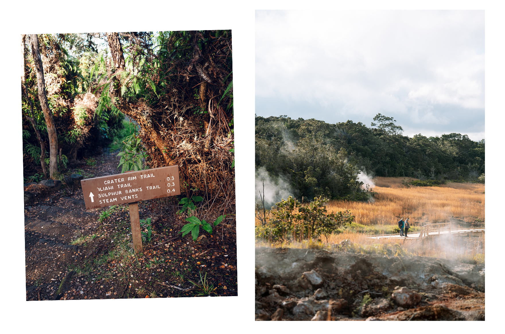 Hawaiʻi Volcanoes National Park