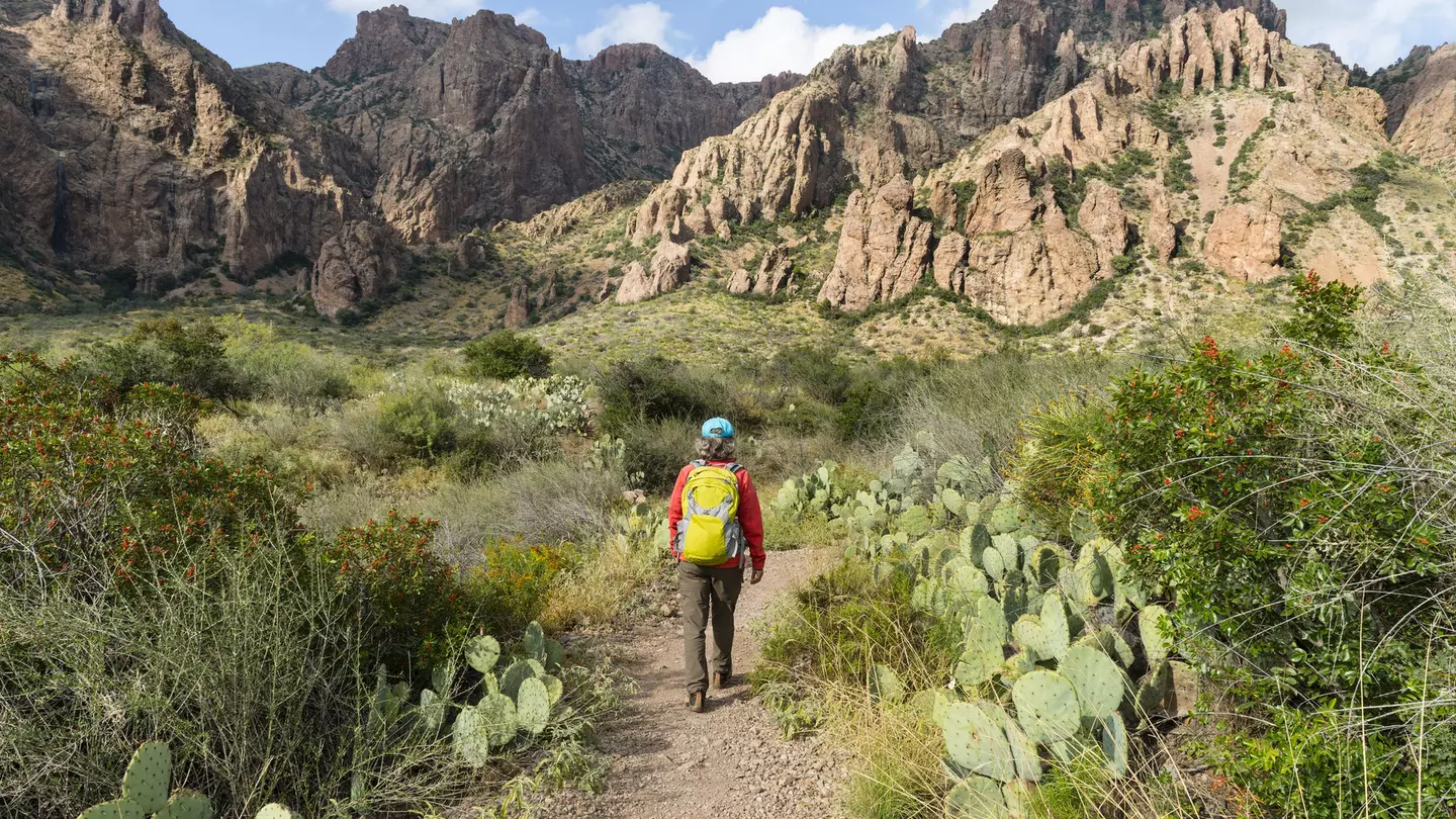Big Bend National Park