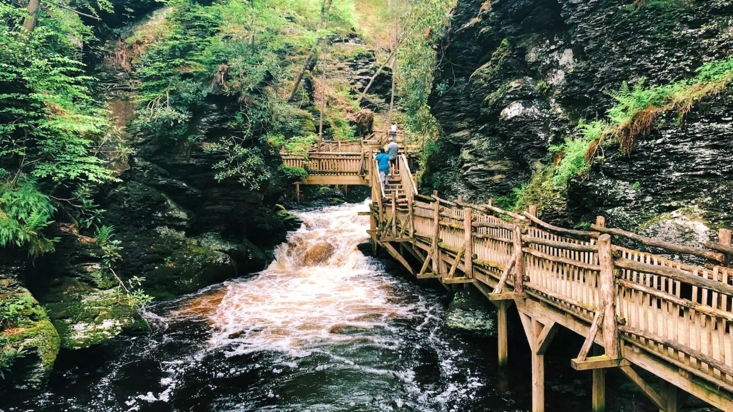 The boardwalk and stairs through Bushkill Falls canyon