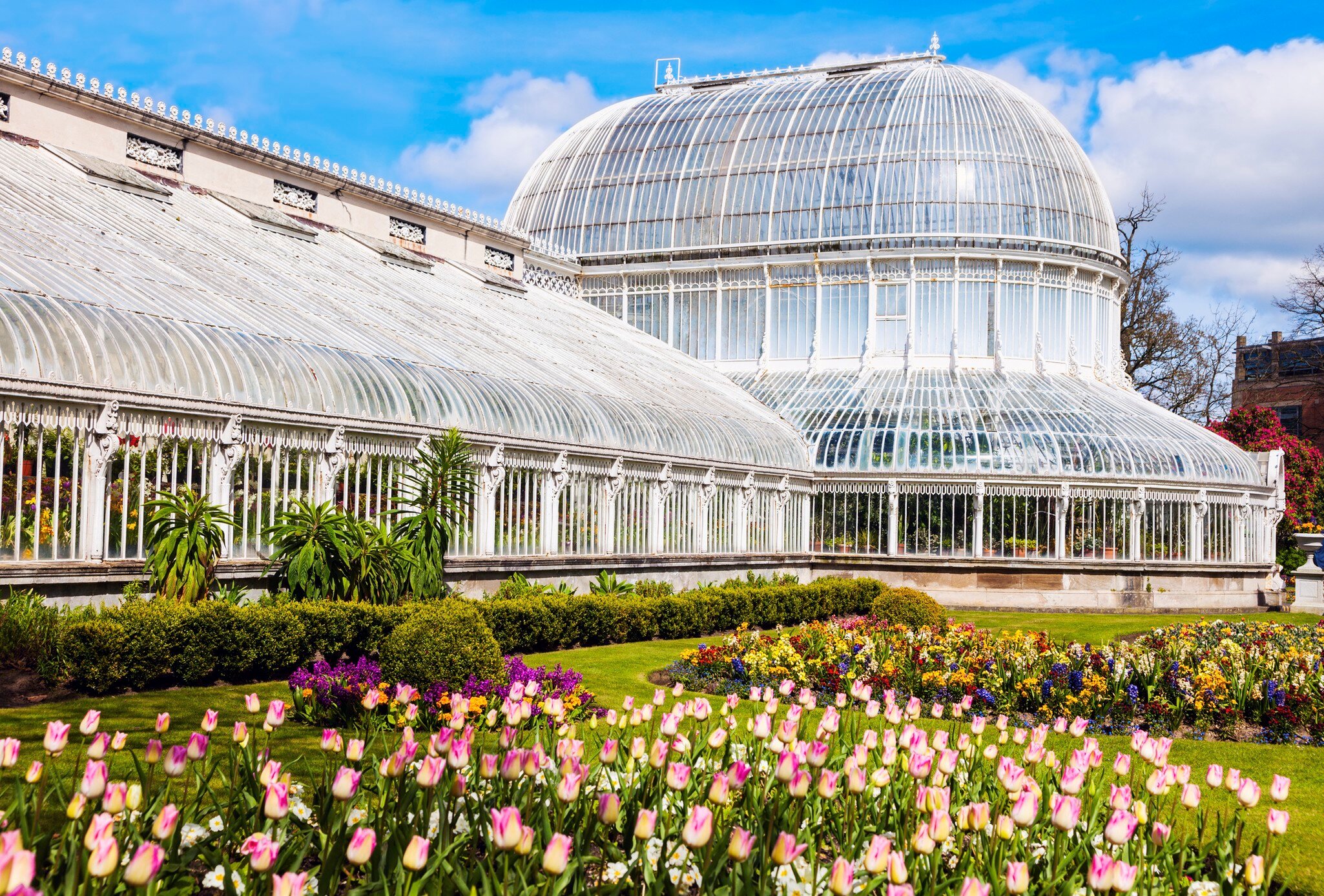Palm House in Belfast. Belfast, Northern Ireland, United Kingdom. Glass dome with tulips in foreground, blue sky.