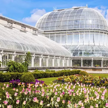 Palm House in Belfast. Belfast, Northern Ireland, United Kingdom. Glass dome with tulips in foreground, blue sky.
