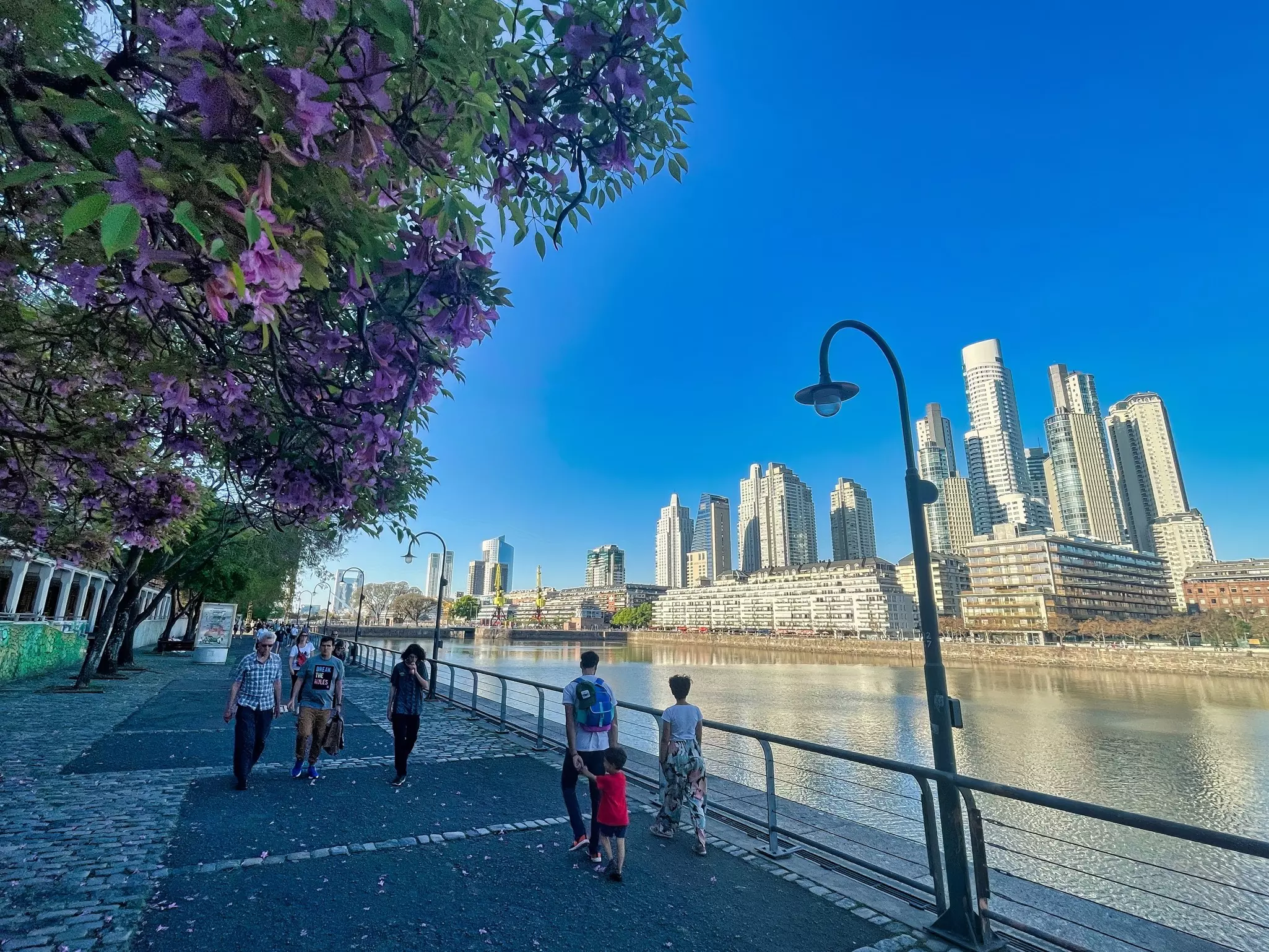 People walk on a path by water in Buenos Aires; there are trees with purple flowers on one side and tall buildings on the other.