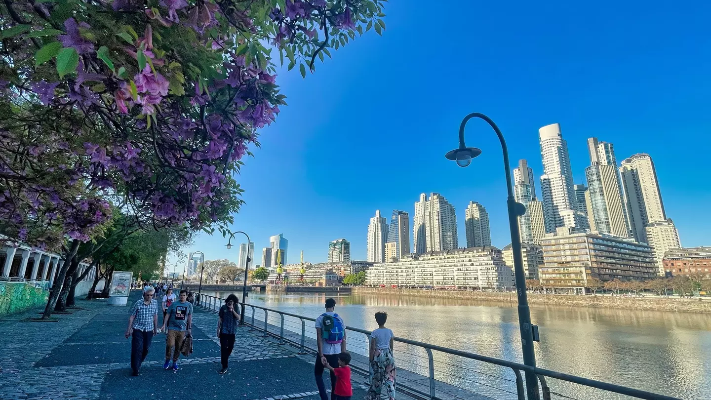 People walk on a path by water in Buenos Aires; there are trees with purple flowers on one side and tall buildings on the other.