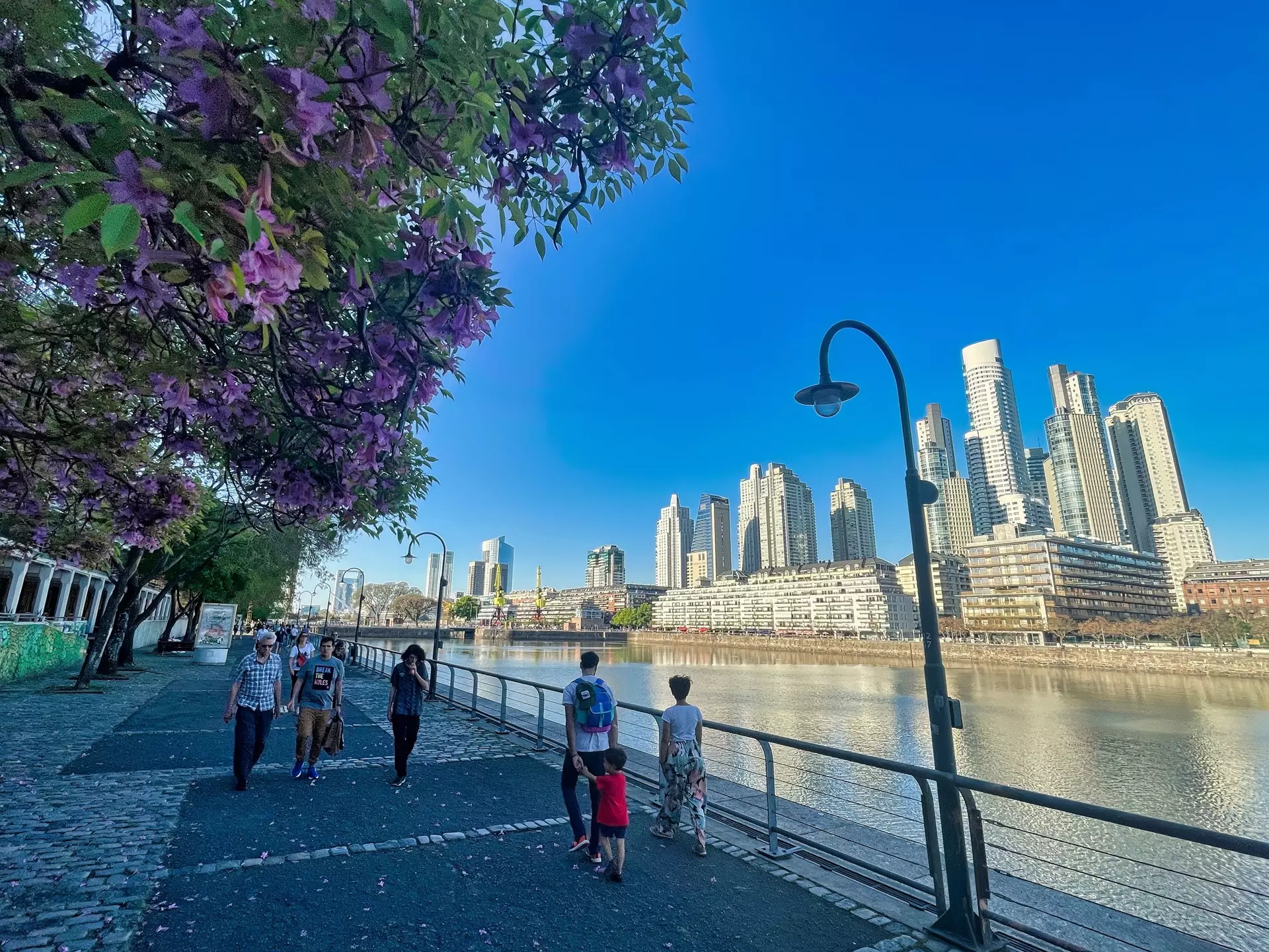 People walk on a path by water in Buenos Aires; there are trees with purple flowers on one side and tall buildings on the other.