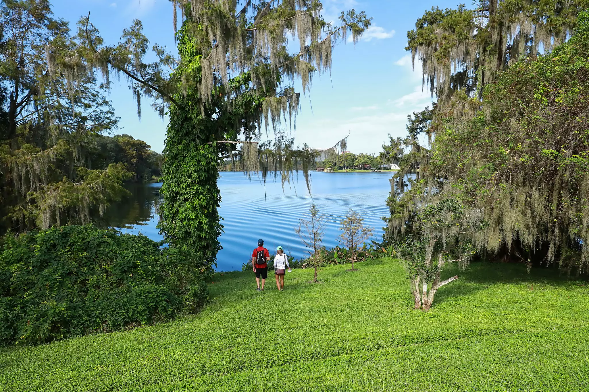 A couple walk down a grassy slope towards a lake in a vast garden.