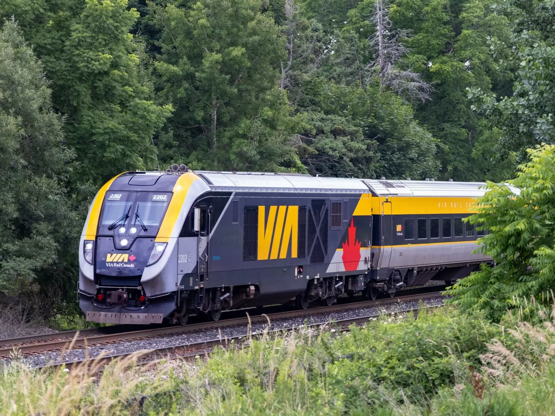 A VIA Rail train pass through the forest en route between Toronto and Montréal, Canada.