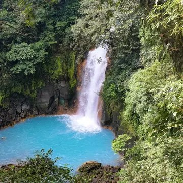 A waterfall cascades into a turquoise pool surrounded by green trees.