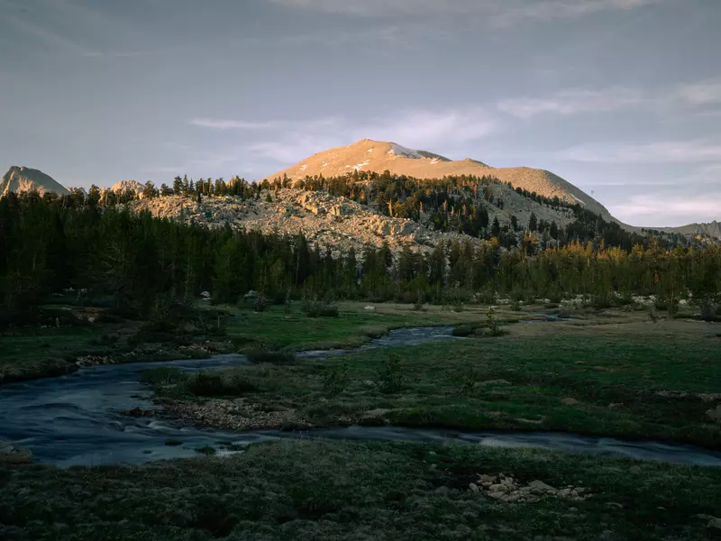A creek weaves its way through a meadow at the foot of rolling hills covered in woodland.