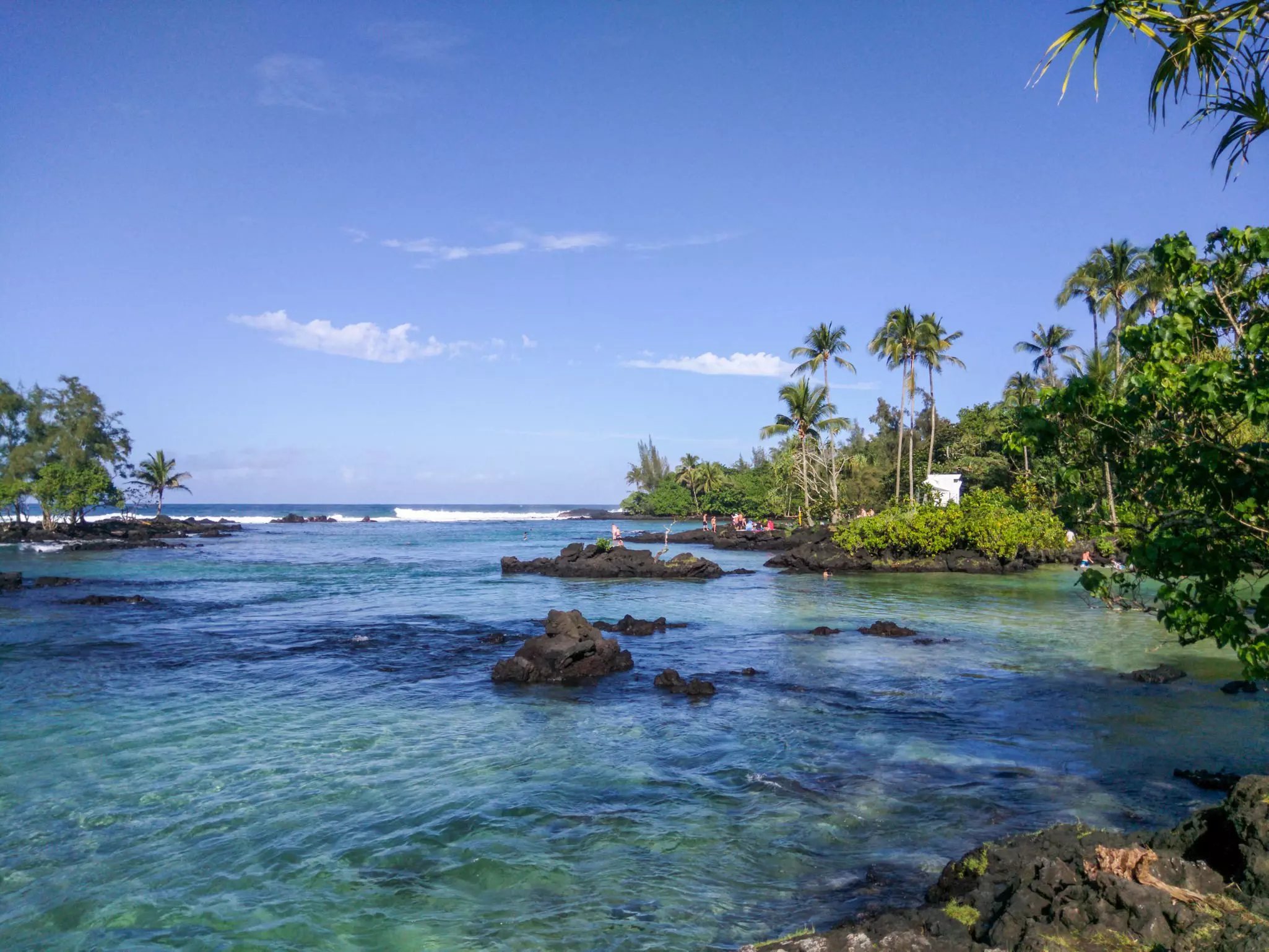Clear blue-ish ocean with small volcanic rock outcroppings and some palm trees in the distance on a sunny day.