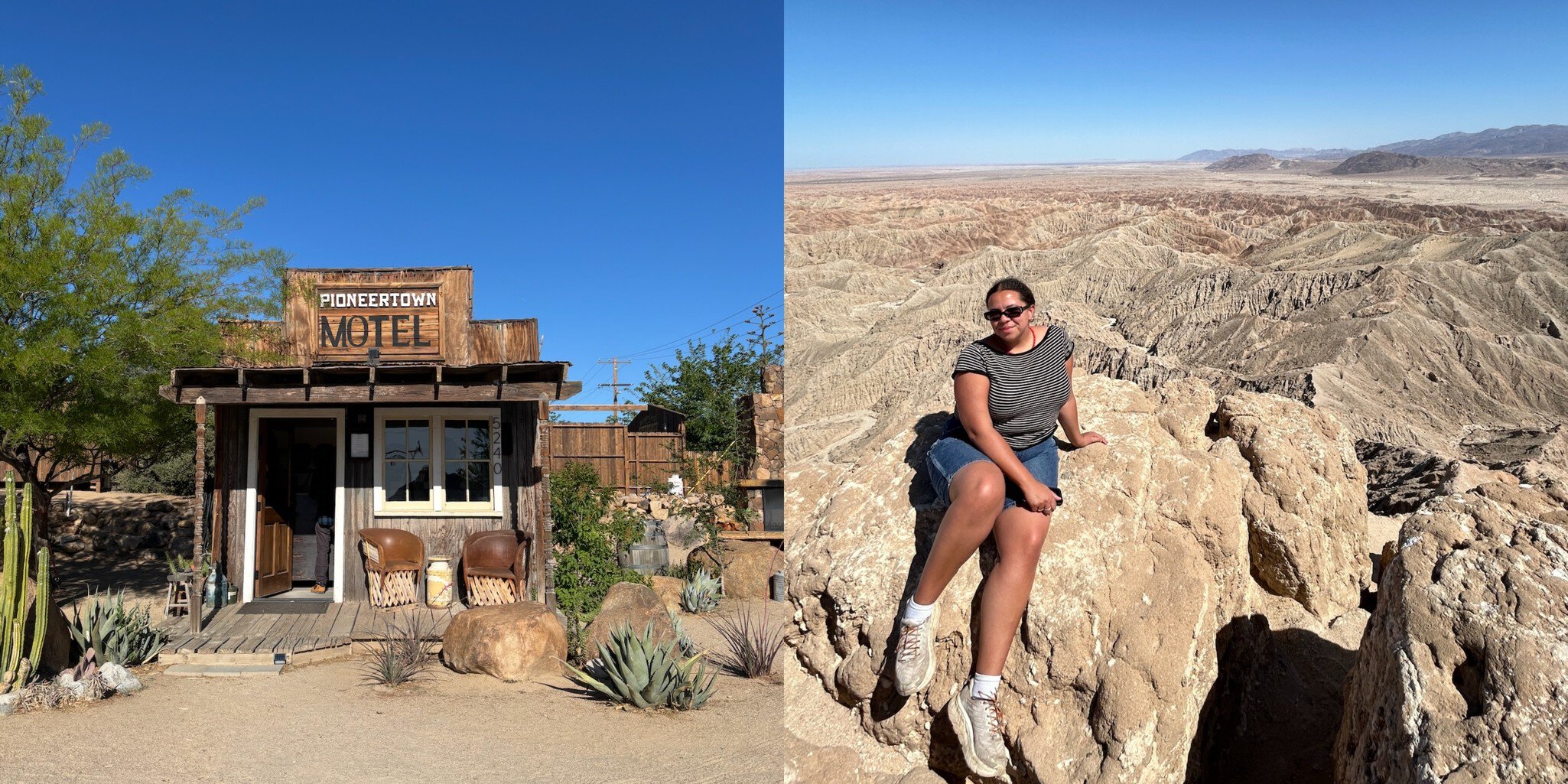 Chamidae in Pioneertown