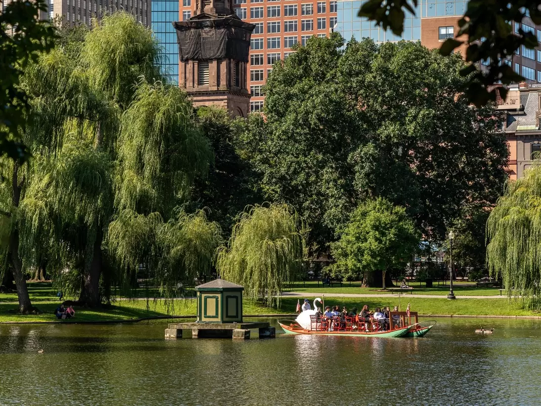 View of the city skyline on a sunny day as seen from across the pond in the Public Garden in Boston, Massachusetts.