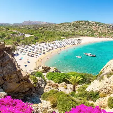 Curving sandy beach with rows of umbrellas backed by a dense palm grove, turquoise bay and rocky headlands.