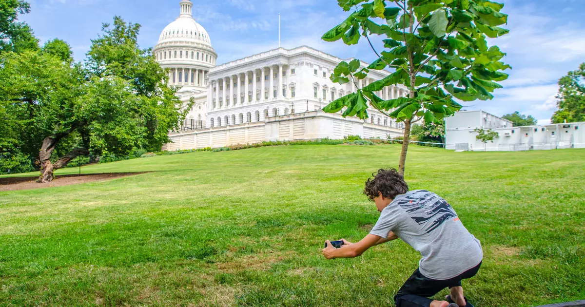 The ultimate guide to visiting Washington, DC with kids - Lonely Planet