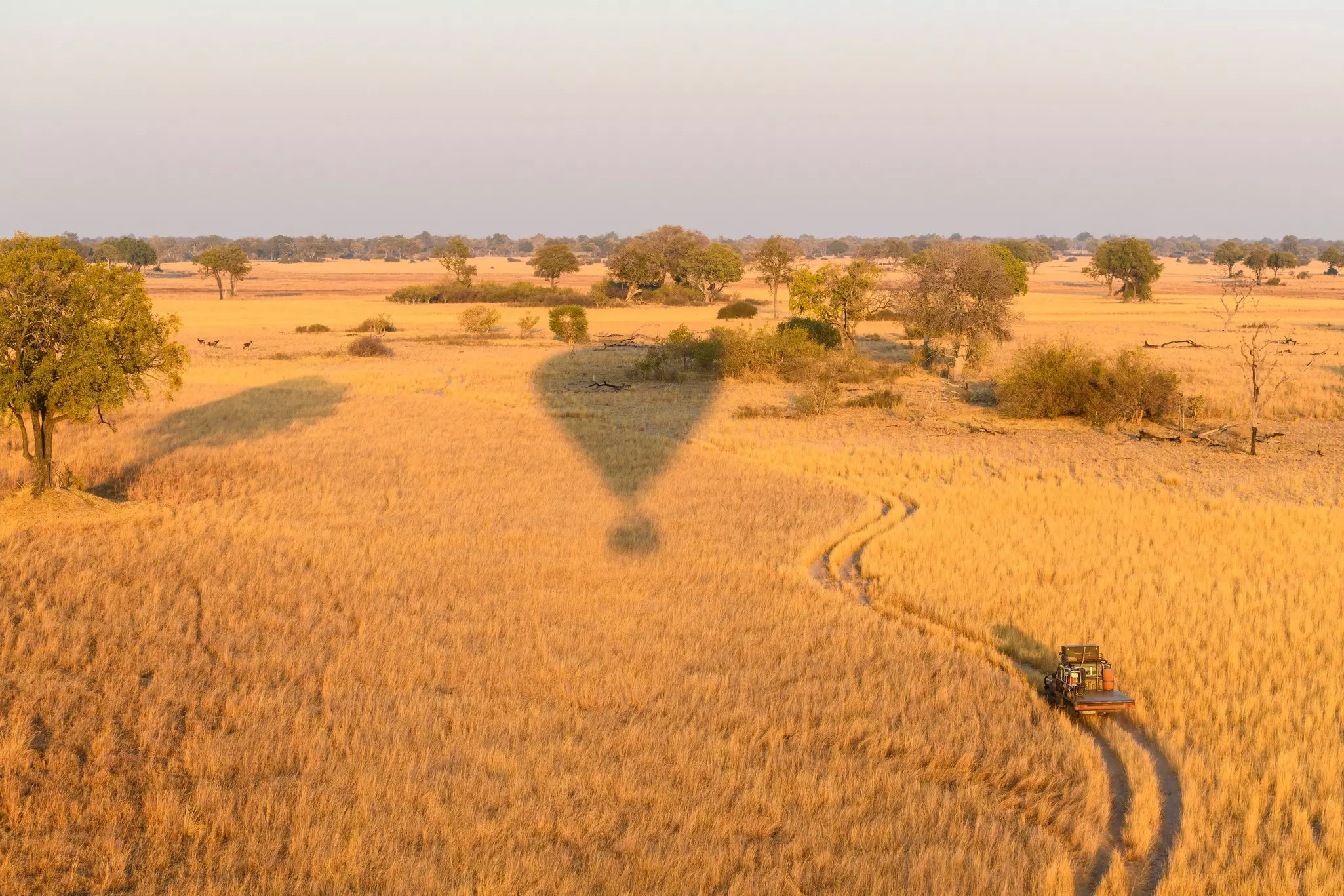 Aerial view of the okavango delta from a hot air balloon ride