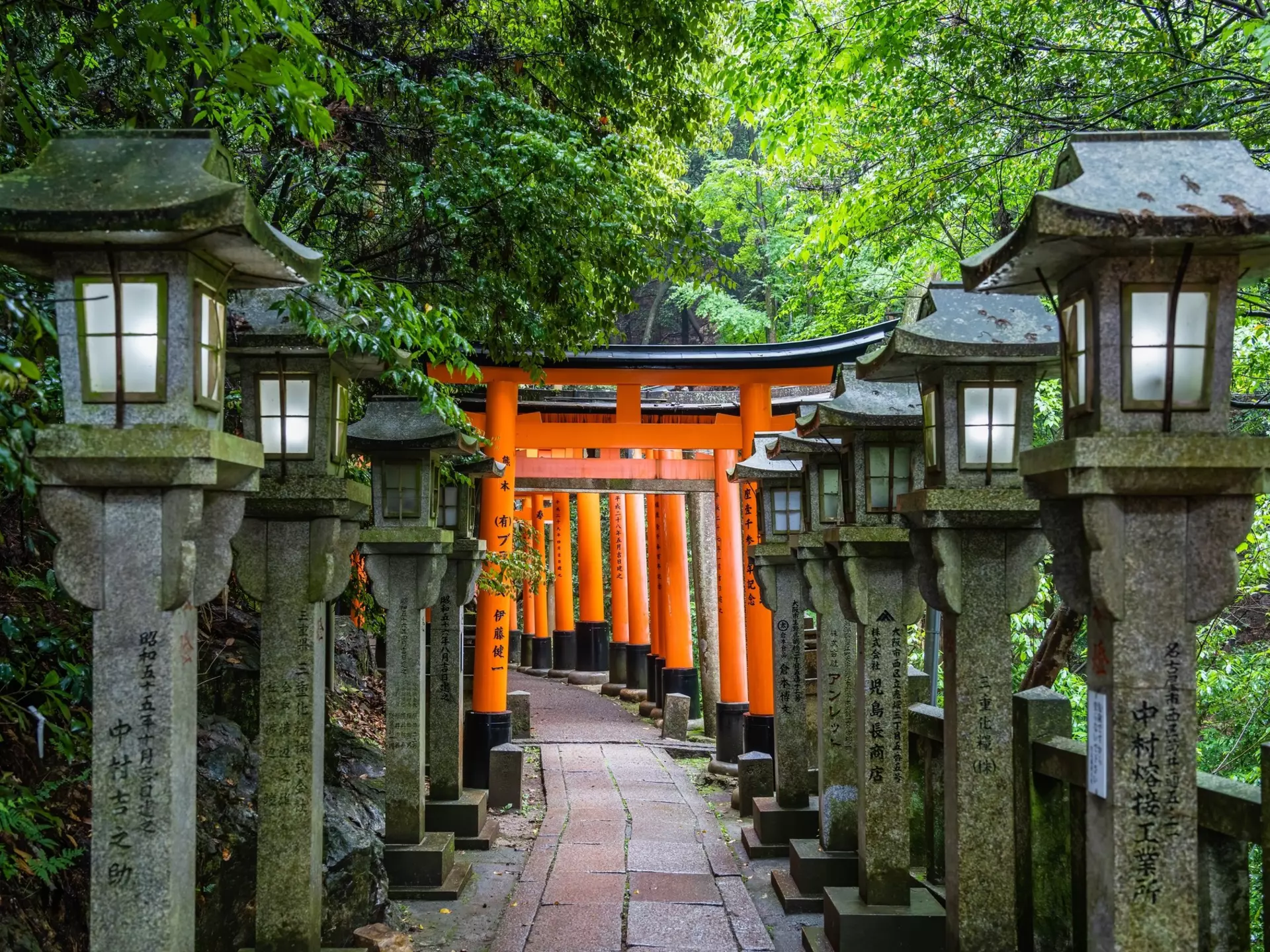 The torii gate covered walking path at Fushimi Inari Taisha temple in Kyoto, Japan.