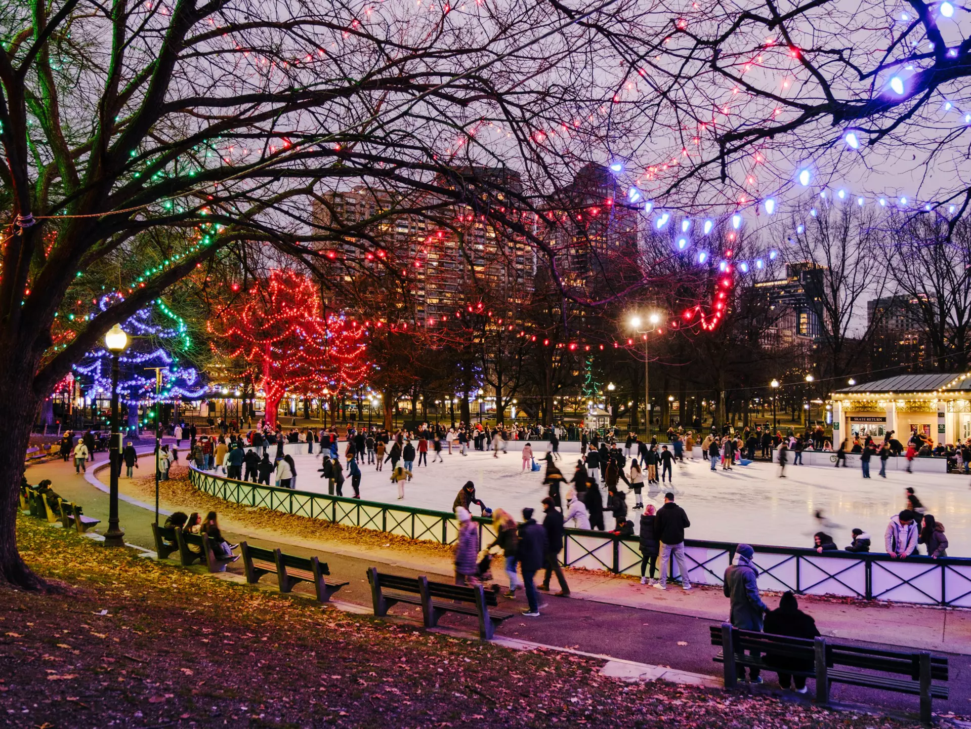 Frog Pond in Boston Common. Sophia Li for Lonely Planet