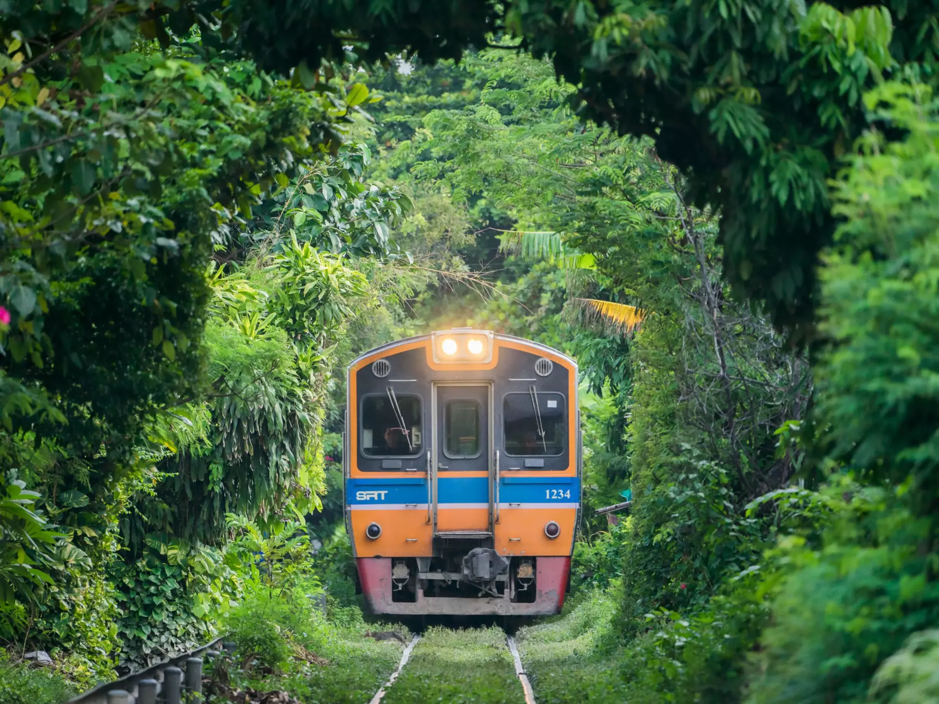 BANGKOK, THAILAND-September 10,2018; Train through the tree tunnel, Thai Railway Wongwain Yai to Mahachai Line, Thai Suburban train.
1034458154
railway, maeklong, train, beautiful, color, rail, light, space, outdoor, view, building, construction, asian, landmark, historic, transport, shop