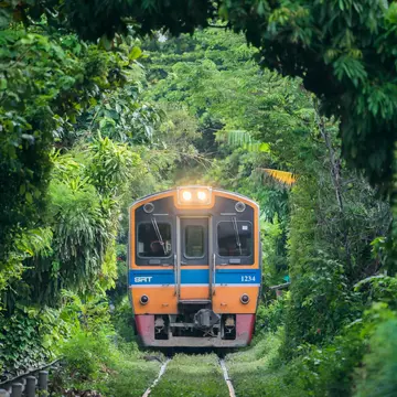 BANGKOK, THAILAND-September 10,2018; Train through the tree tunnel, Thai Railway Wongwain Yai to Mahachai Line, Thai Suburban train.
1034458154
railway, maeklong, train, beautiful, color, rail, light, space, outdoor, view, building, construction, asian, landmark, historic, transport, shop