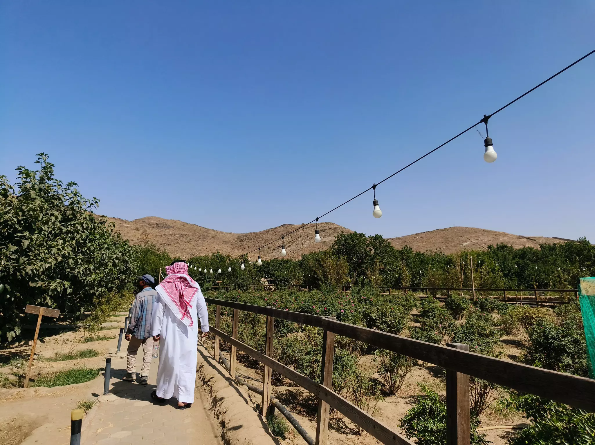 Tecno Partnerships V1
Men walk in Al Taif, two hours outside Jeddah.
Cynthia Hoffman for Lonely Planet