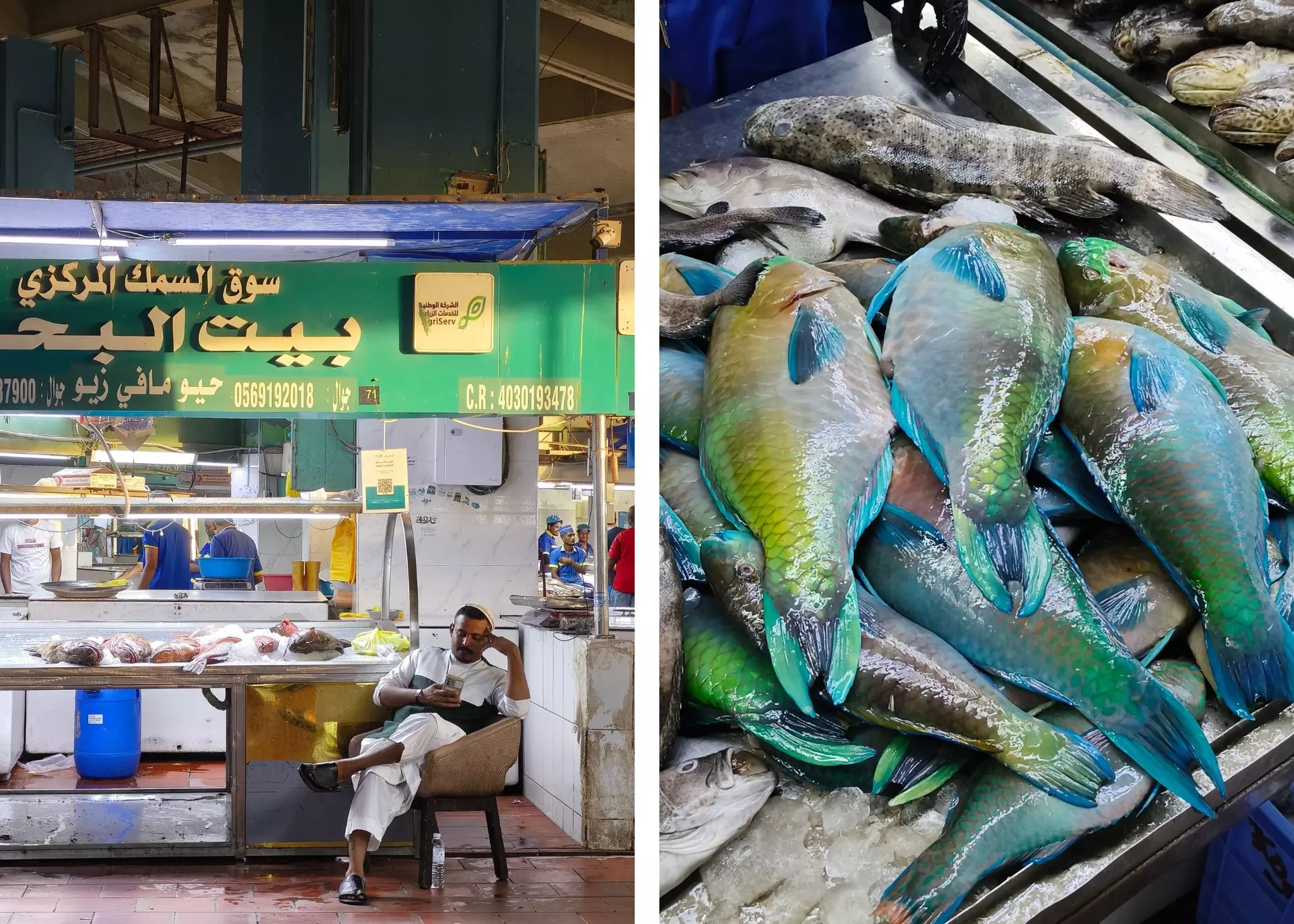 Tecno Partnerships V1
Left and right: Jeddah's fish market. 
Cynthia Hofmann for Lonely Planet (2)