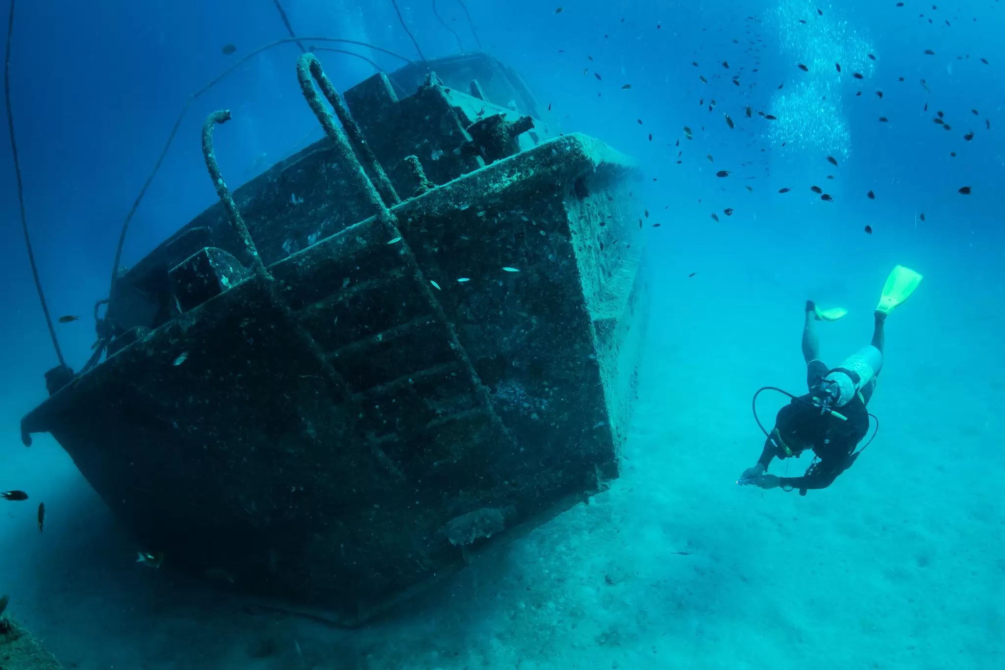A scuba diver swimming next to a shipwreck; fish swim above.