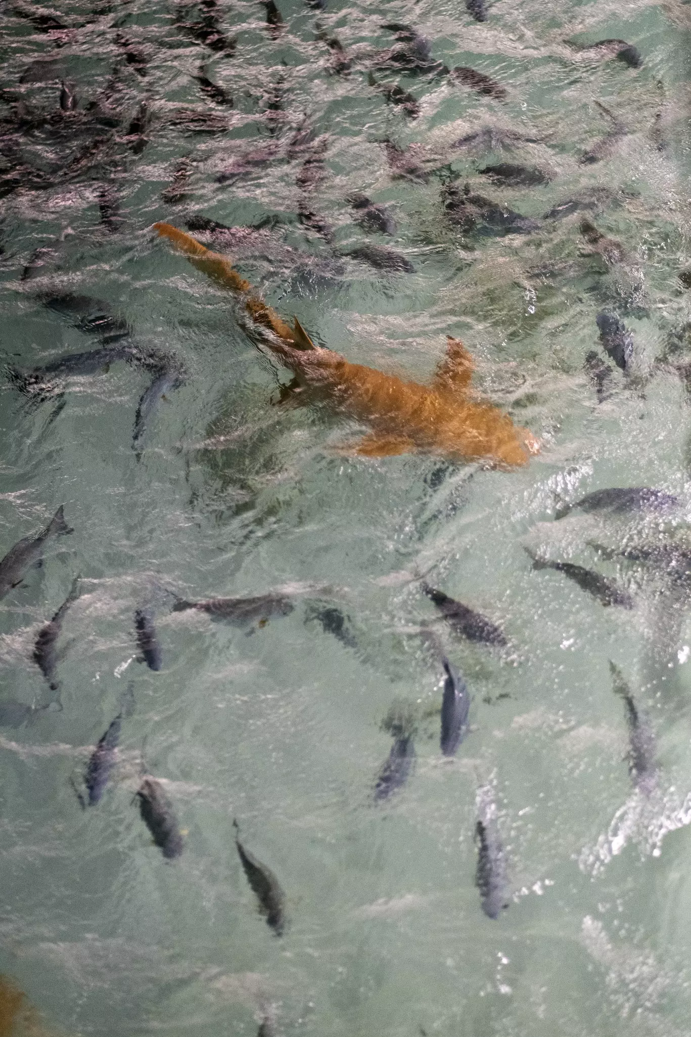 Any waste in the sea can disrupt the ecosystem © Ciril Monteiro / Shutterstock