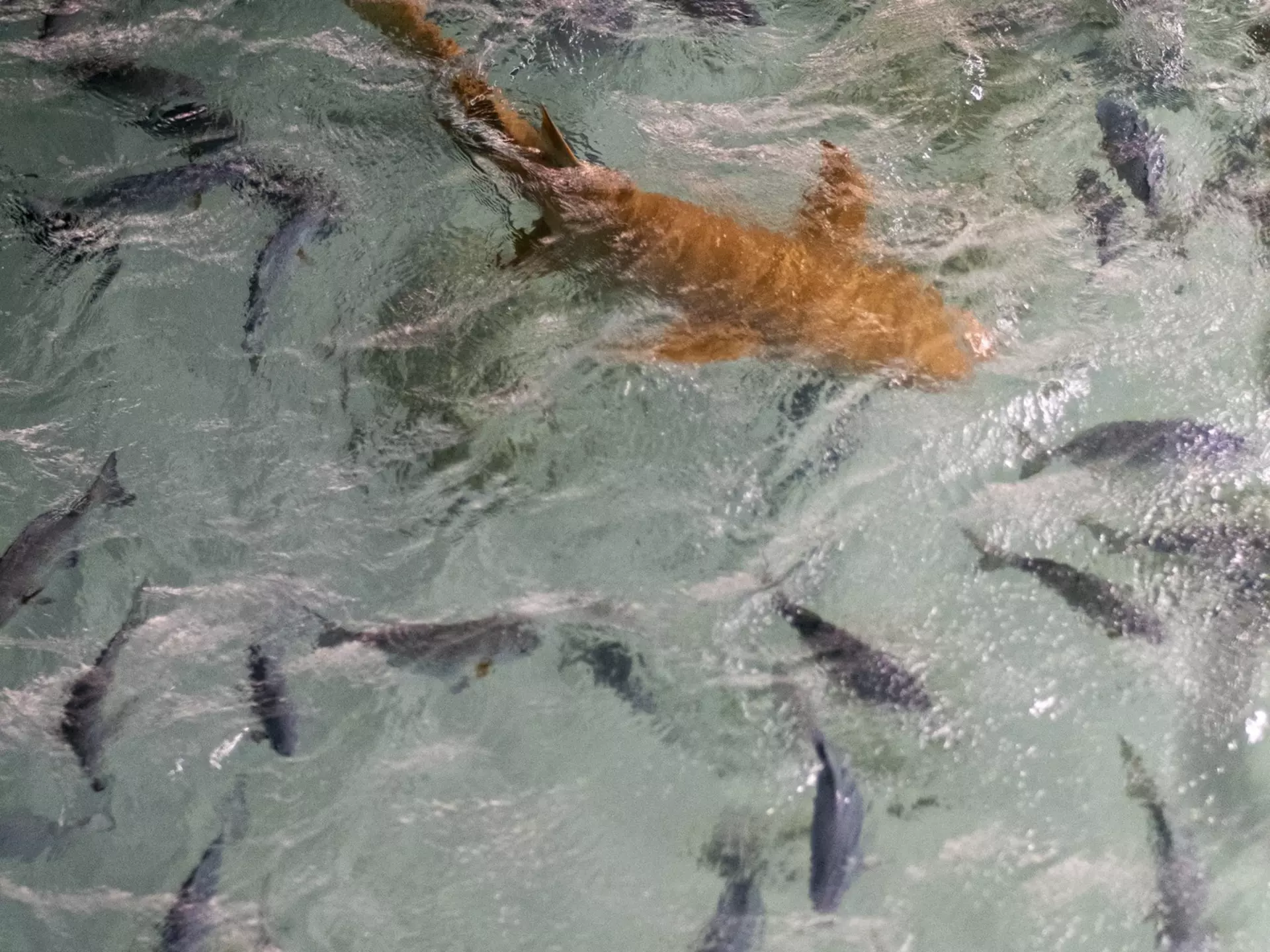 Any waste in the sea can disrupt the ecosystem © Ciril Monteiro / Shutterstock