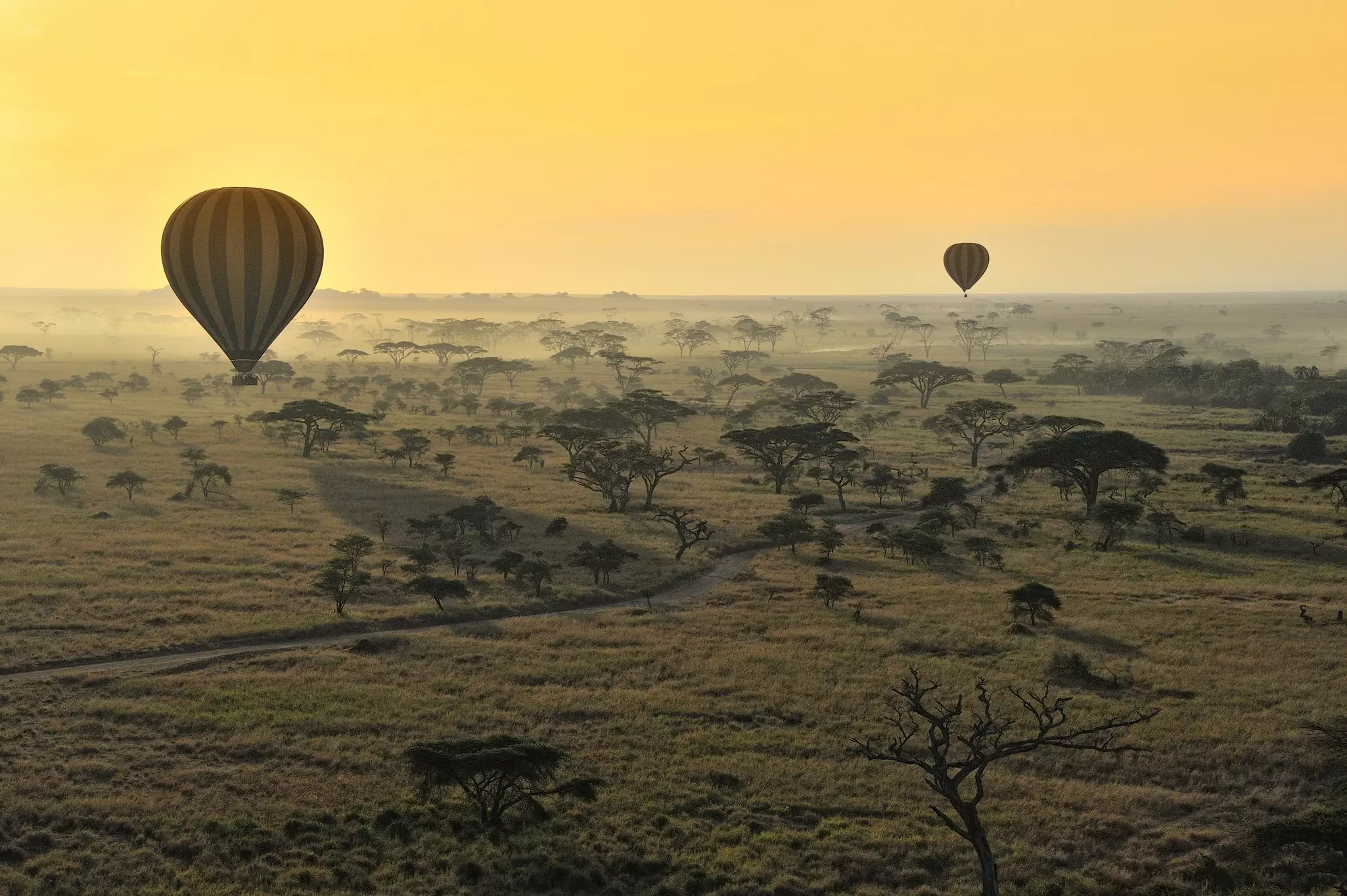 A hot-air balloon ride over the Serengeti is an unforgettable safari experience © Diana Robinson / 500px