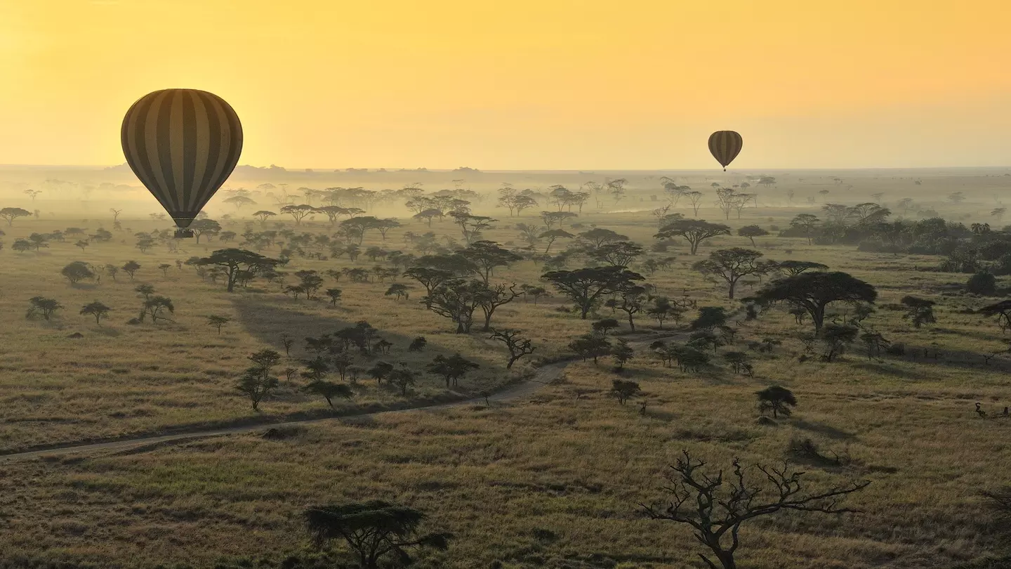 A hot-air balloon ride over the Serengeti is an unforgettable safari experience © Diana Robinson / 500px