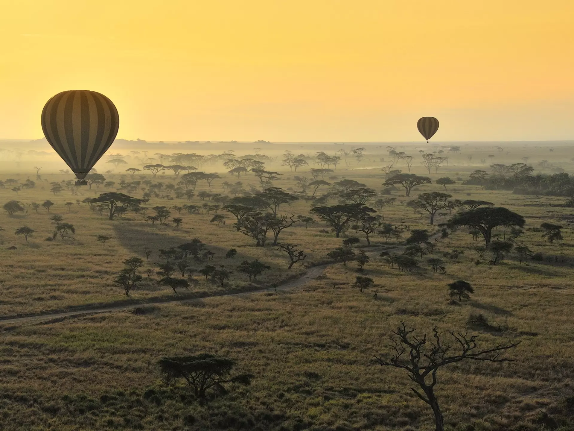A hot-air balloon ride over the Serengeti is an unforgettable safari experience © Diana Robinson / 500px