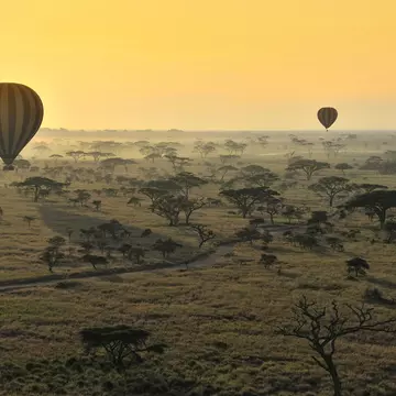A hot-air balloon ride over the Serengeti is an unforgettable safari experience © Diana Robinson / 500px