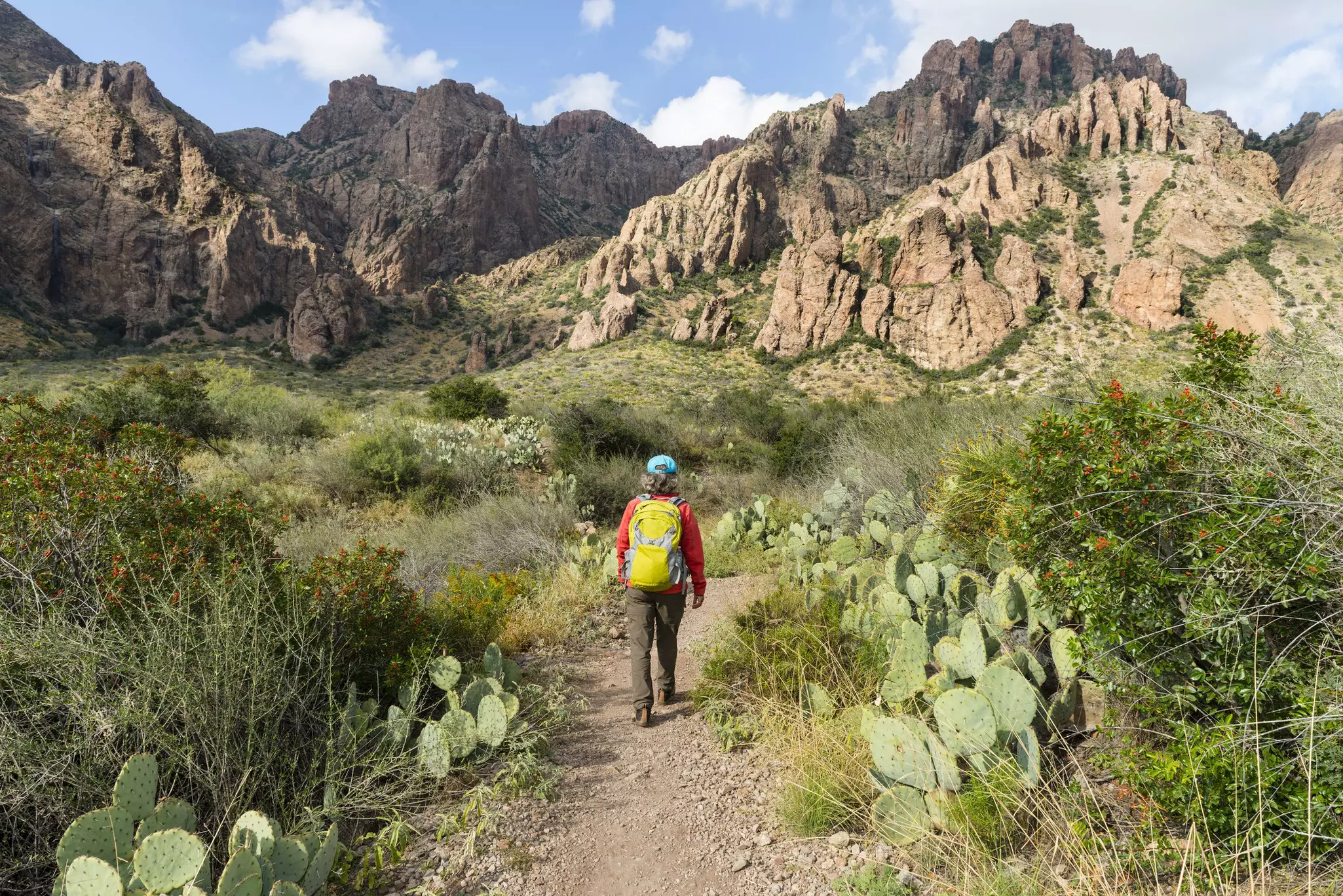 A woman is seen from behind hiking on a dirt trail toward rocky outcrops in the distance. Cactus and yucca plants line the trail.
