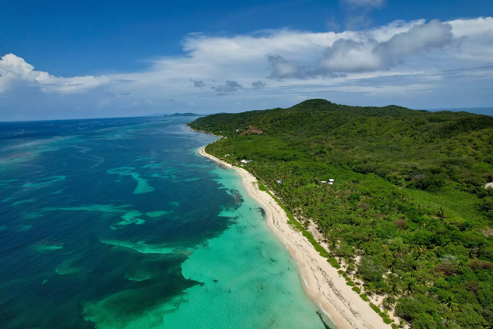 Aerial view of a white sand beach, verdant beach with clear blue waters