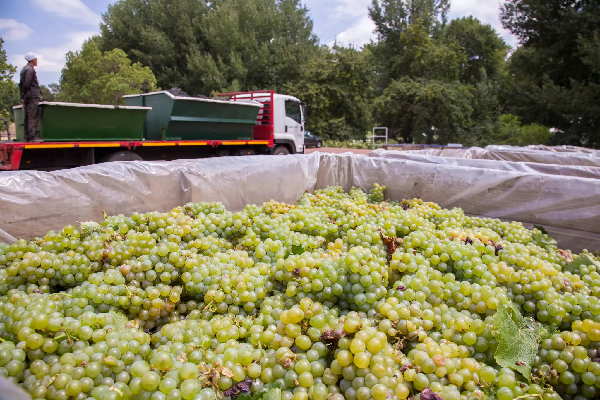 A view of Table Mountain and Cape Town