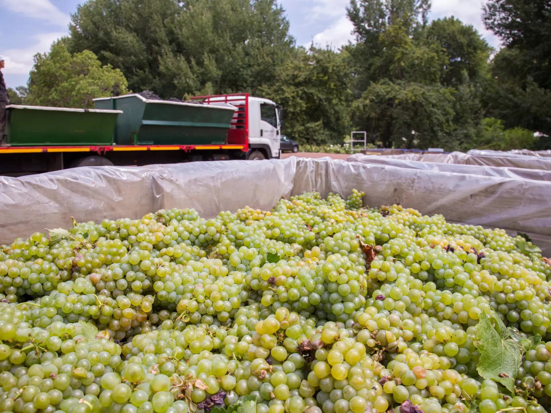 A view of Table Mountain and Cape Town