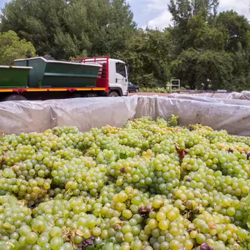 A view of Table Mountain and Cape Town