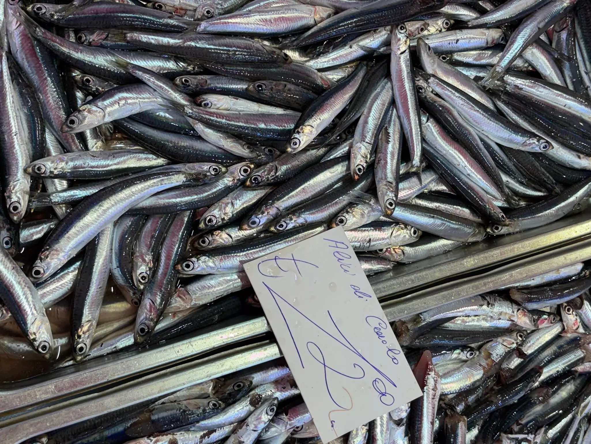 Fish stall at La Pescheria fish market, with fish in large tins