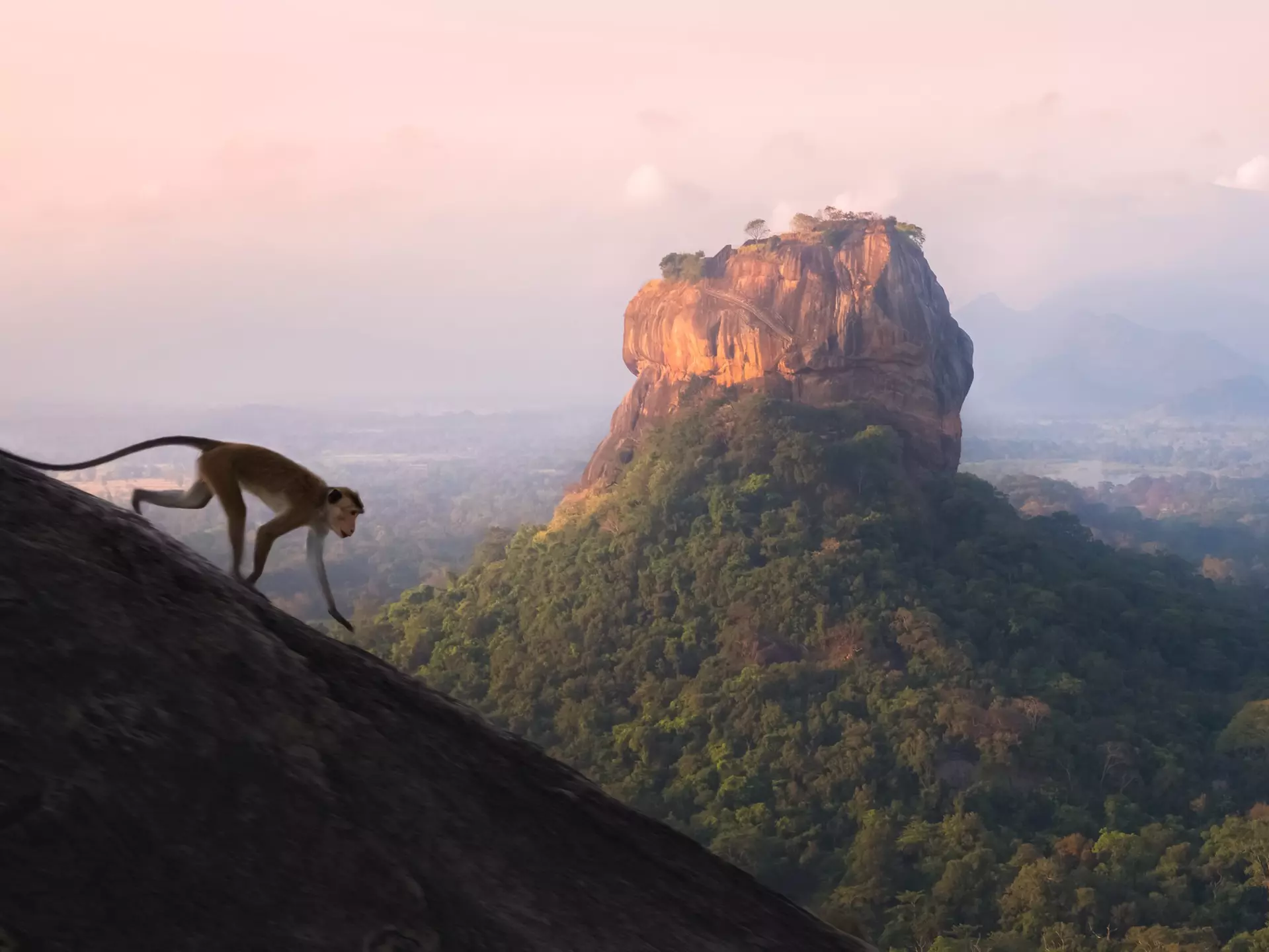 Sigiriya viewed from Pidurangula Hill at sunrise. StephenBridger/Getty Images