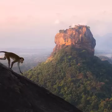 Sigiriya viewed from Pidurangula Hill at sunrise. StephenBridger/Getty Images