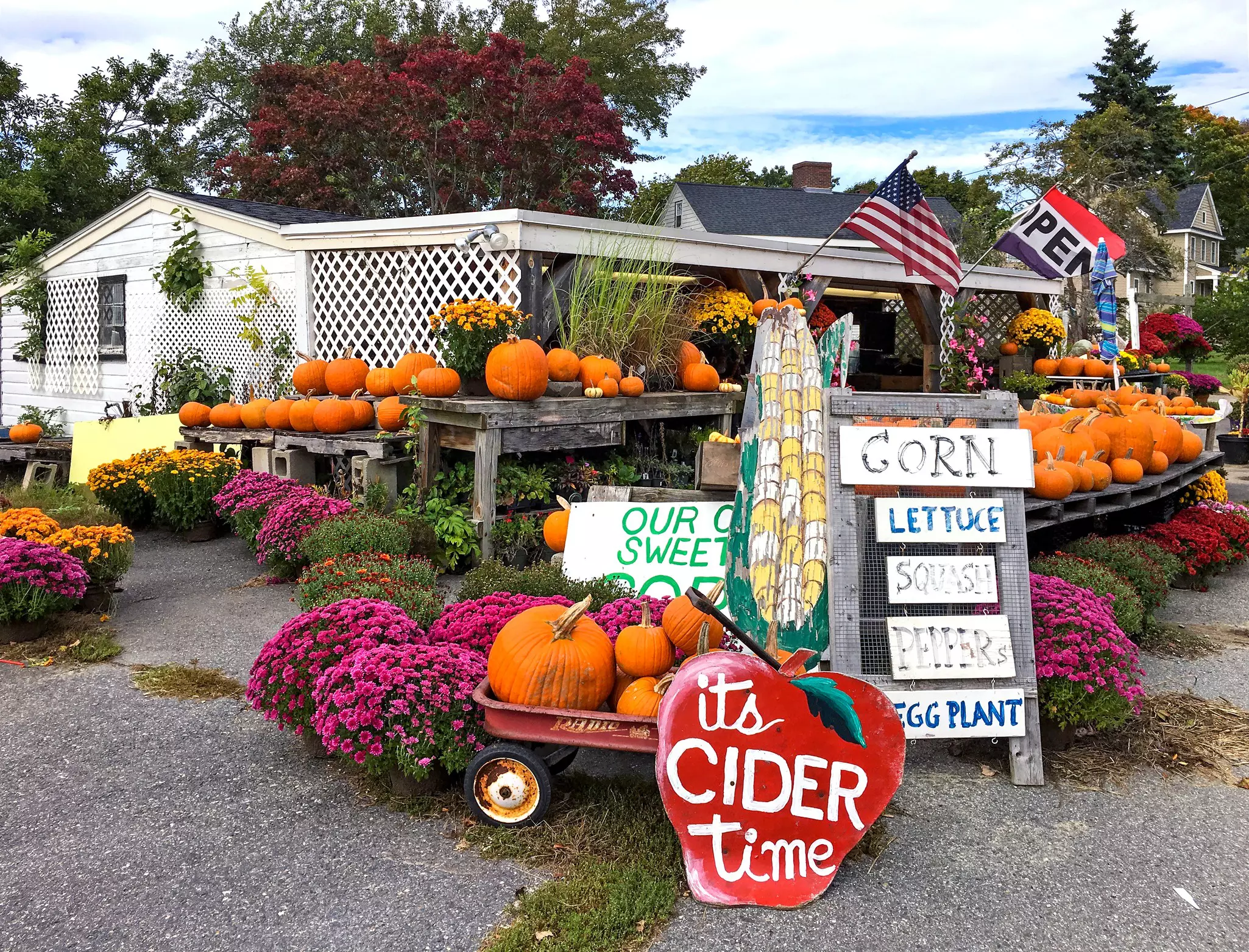Charming New England roadside farm stand selling pumpkins in the fall. Family run farm, established in 1923, sells corn, apple cider, flowers and other produce.