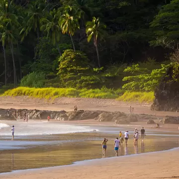 People splash and play in the shallows of a sandy beach backed by dense jungle: Playa Jacó, Costa Rica. 