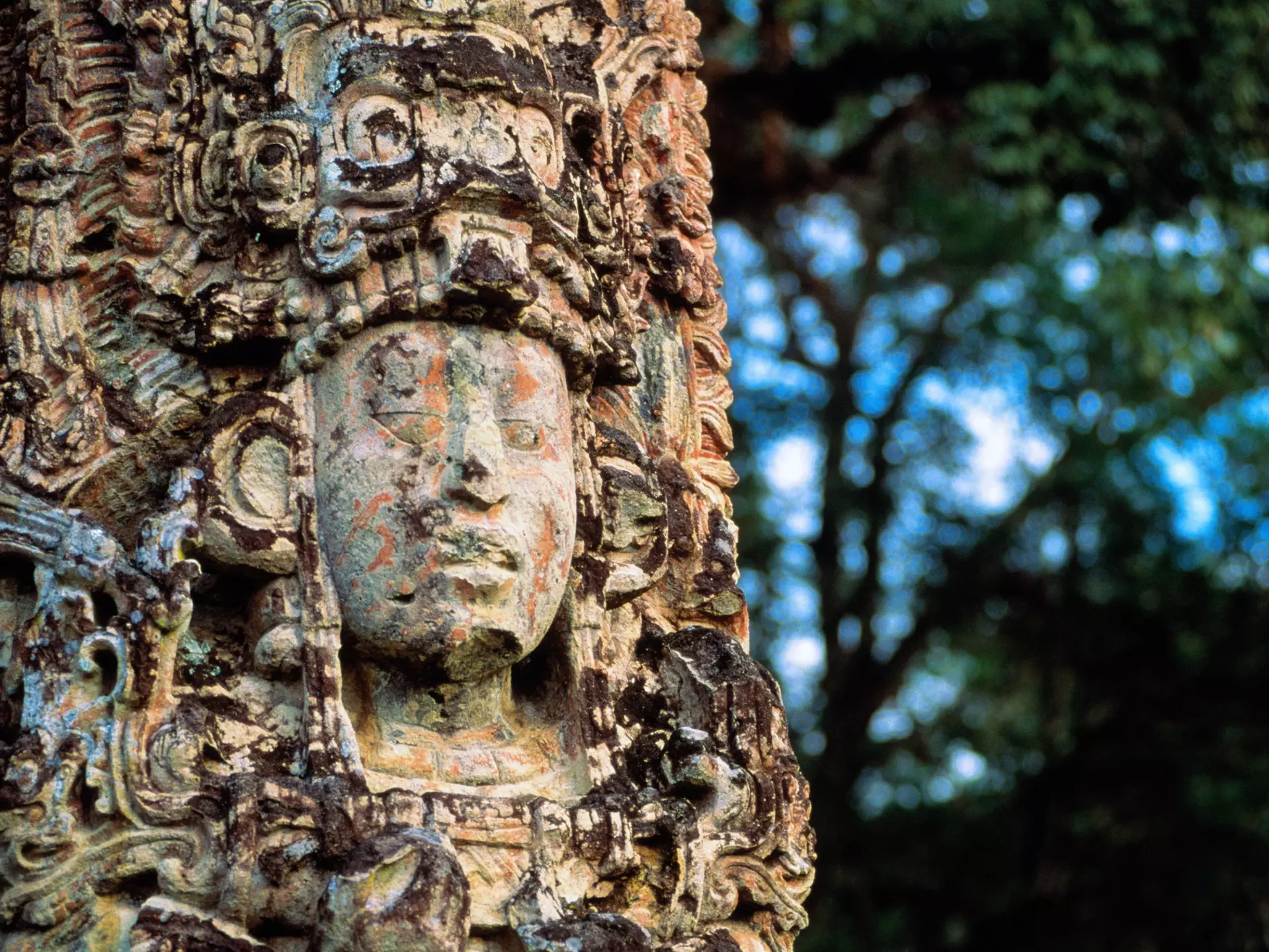 A carved stela depicting King 18 Rabbit at Copán in Honduras. Kevin Schafer/Getty Images