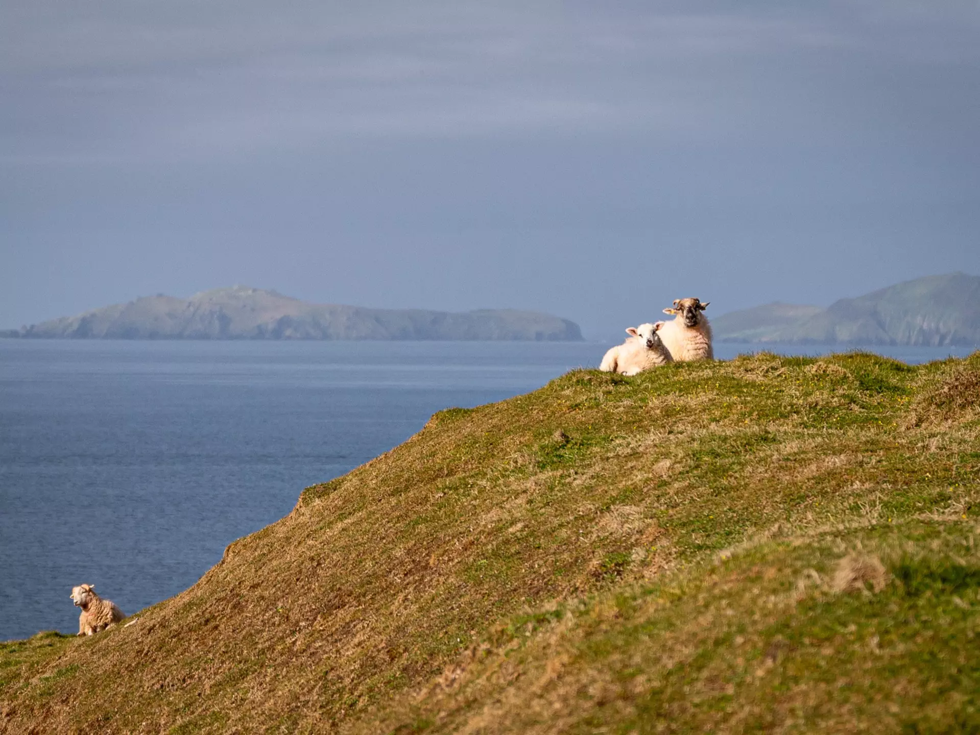 Along the Slea Head Drive, a circular route on the Dingle Peninsula in County Kerry, Ireland. Bailey Freeman for Lonely Planet