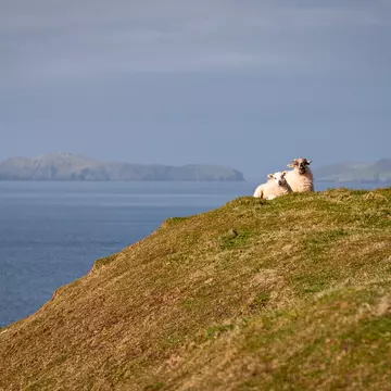 Along the Slea Head Drive, a circular route on the Dingle Peninsula in County Kerry, Ireland. Bailey Freeman for Lonely Planet