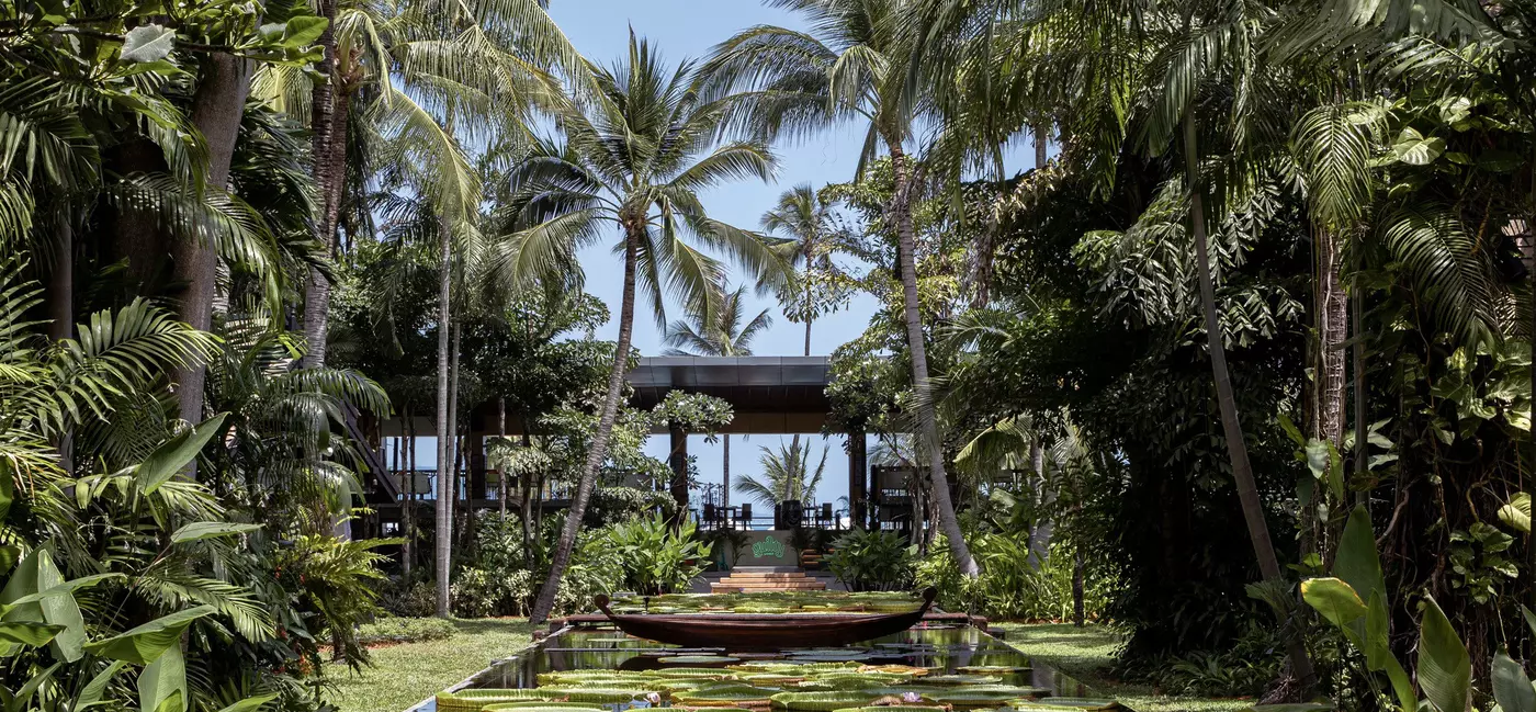 Anantara Bophut Koh Samui Resort lotus pond
