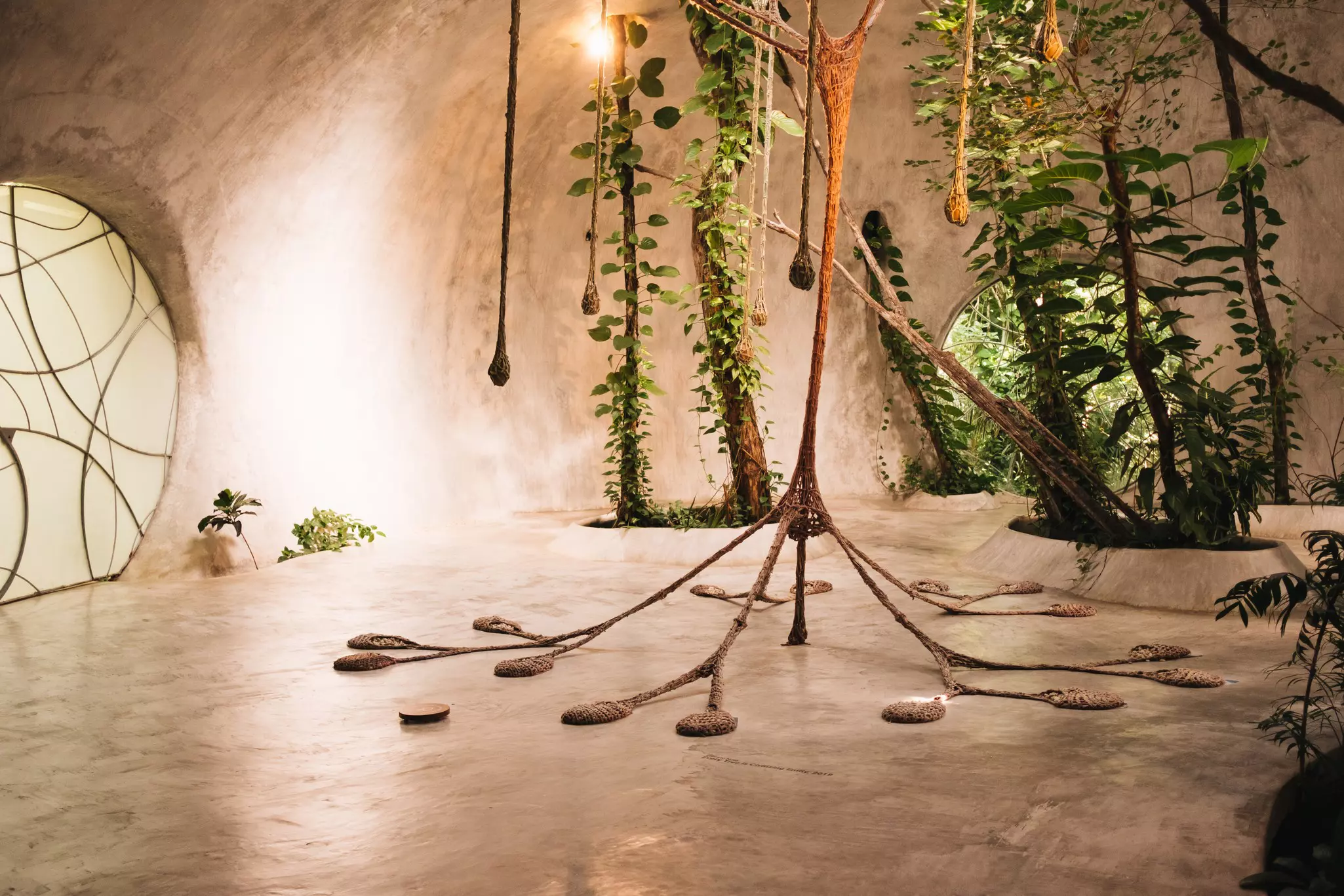 An art installation in a cement room filled with plants